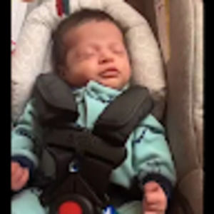 Meet your Posher, Maureen